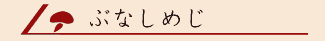 まいたけタイトル画像